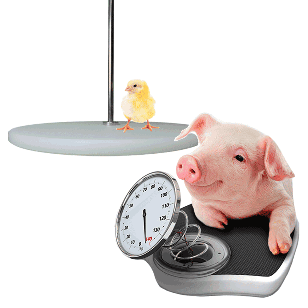 Weighing systems